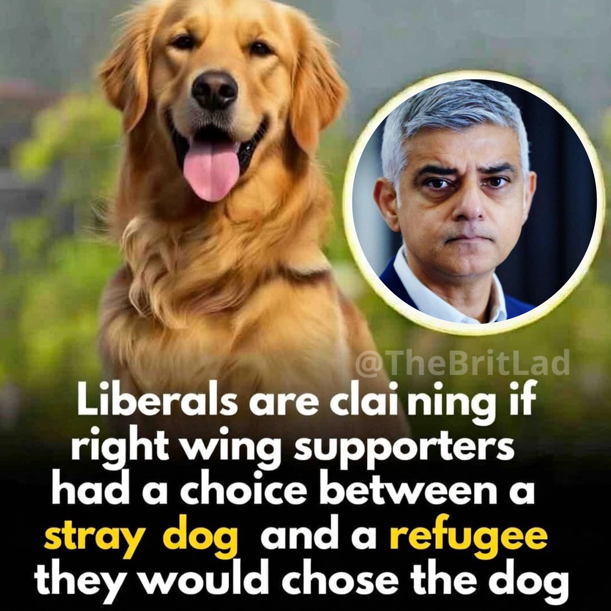 The British Patriot tweet media