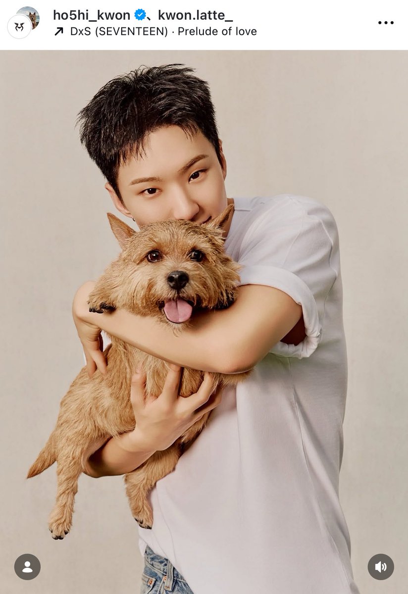 ホシくんラテちゃんとの写真あげてくれてる！って見てたら、ブソクの曲使ってて家族たちだ〜とあったかくなったよ