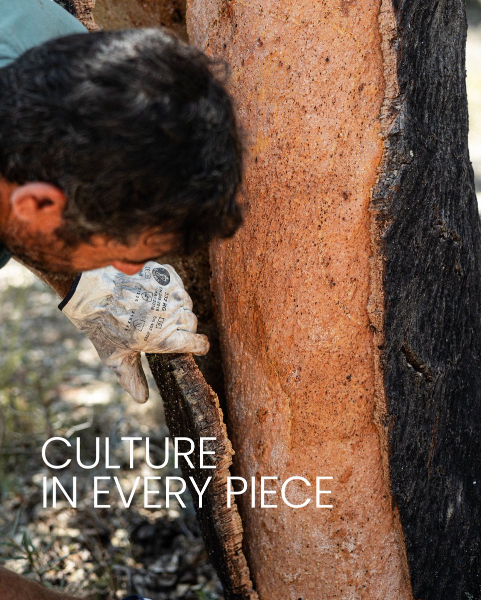 GRANORTE tweet media