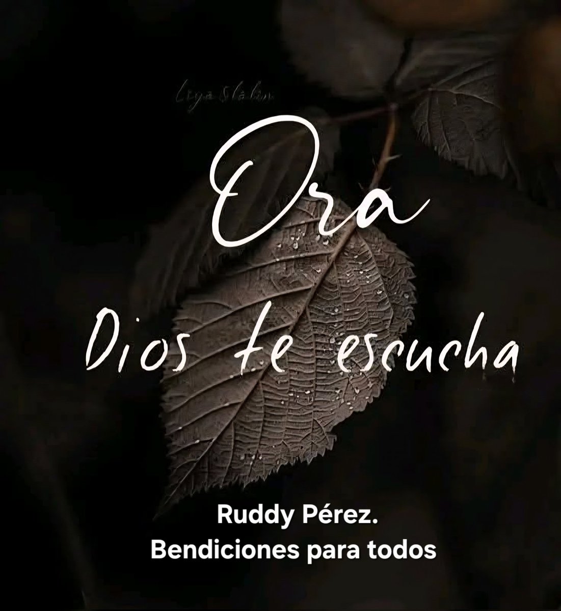 Ora, que Dios te escucha. Cuando hablas con Él desde el corazón, no estás solo; cada oración es oída y cada clamor tiene respuesta en su tiempo perfecto.
📖 “Clama a mí, y yo te responderé, y te enseñaré cosas grandes y ocultas que tú no conoces.”
 Jeremías 33:3 🙏✨ #Bendiciones