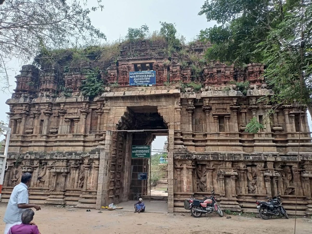 trramesh tweet media