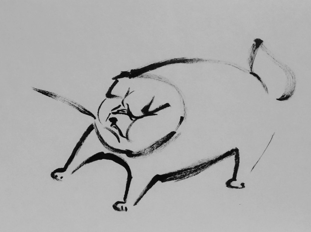 jissunboshi96's tweet image. 歩きたくない犬を見ると、応援したくなる。俺たち人間も、たまには立ち止まった方が良い。