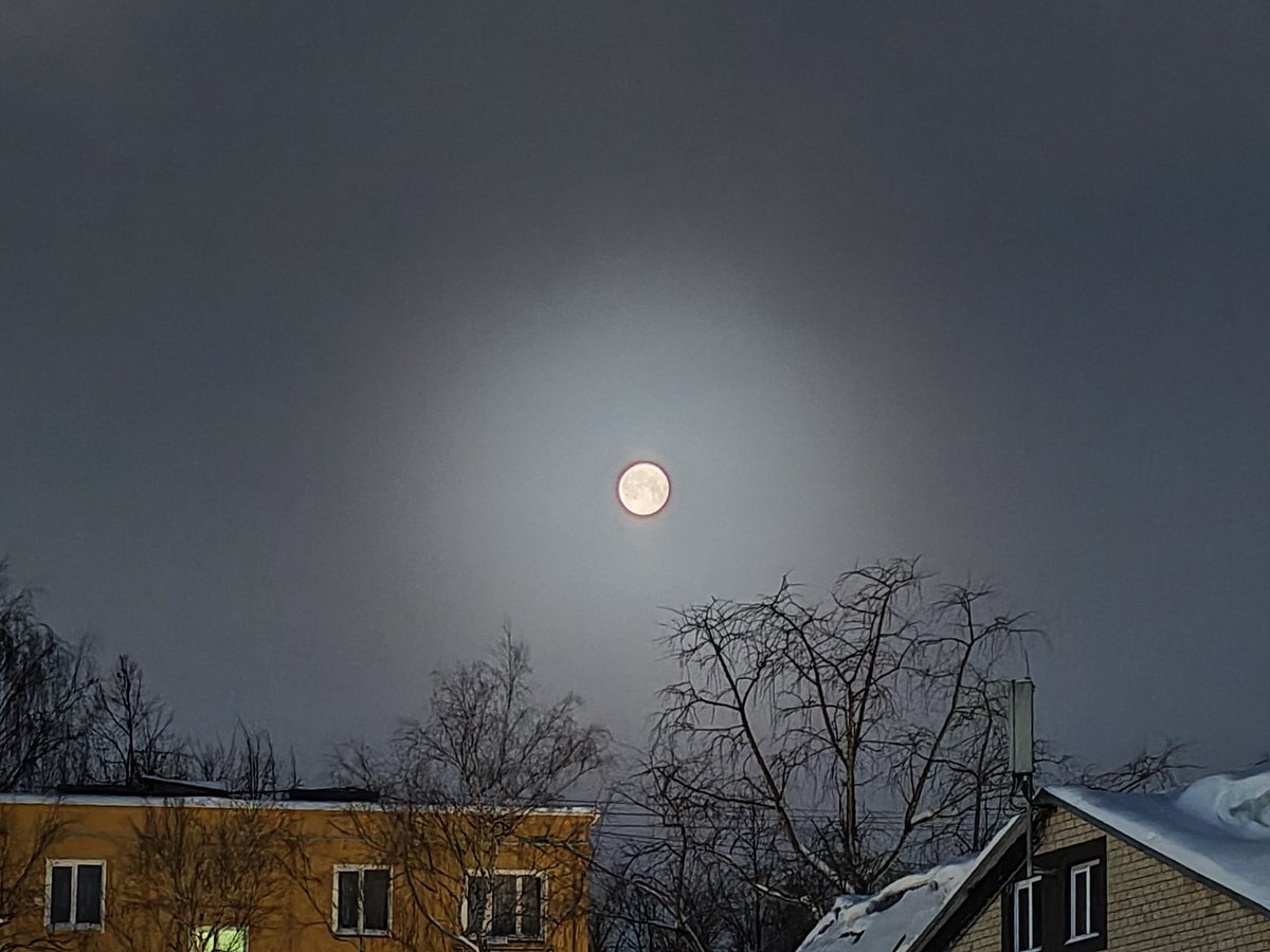 Louvernar tweet media