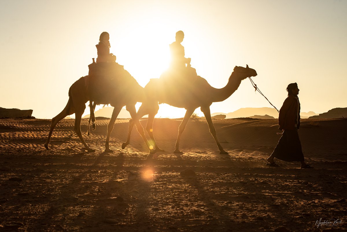 زوروا الأردن tweet media