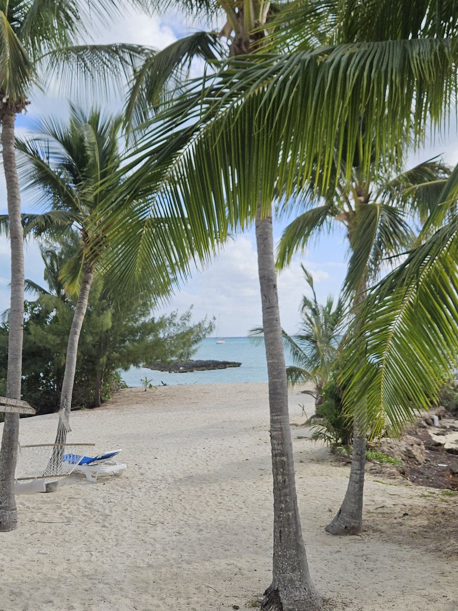 TSailingAcademy's tweet image. "The sand feels softer and the rest sweeter on a beach you've earned by sail-after wrestling the seas moods, battling its winds and earning every mile- than any shore reached by merely boarding a plane."