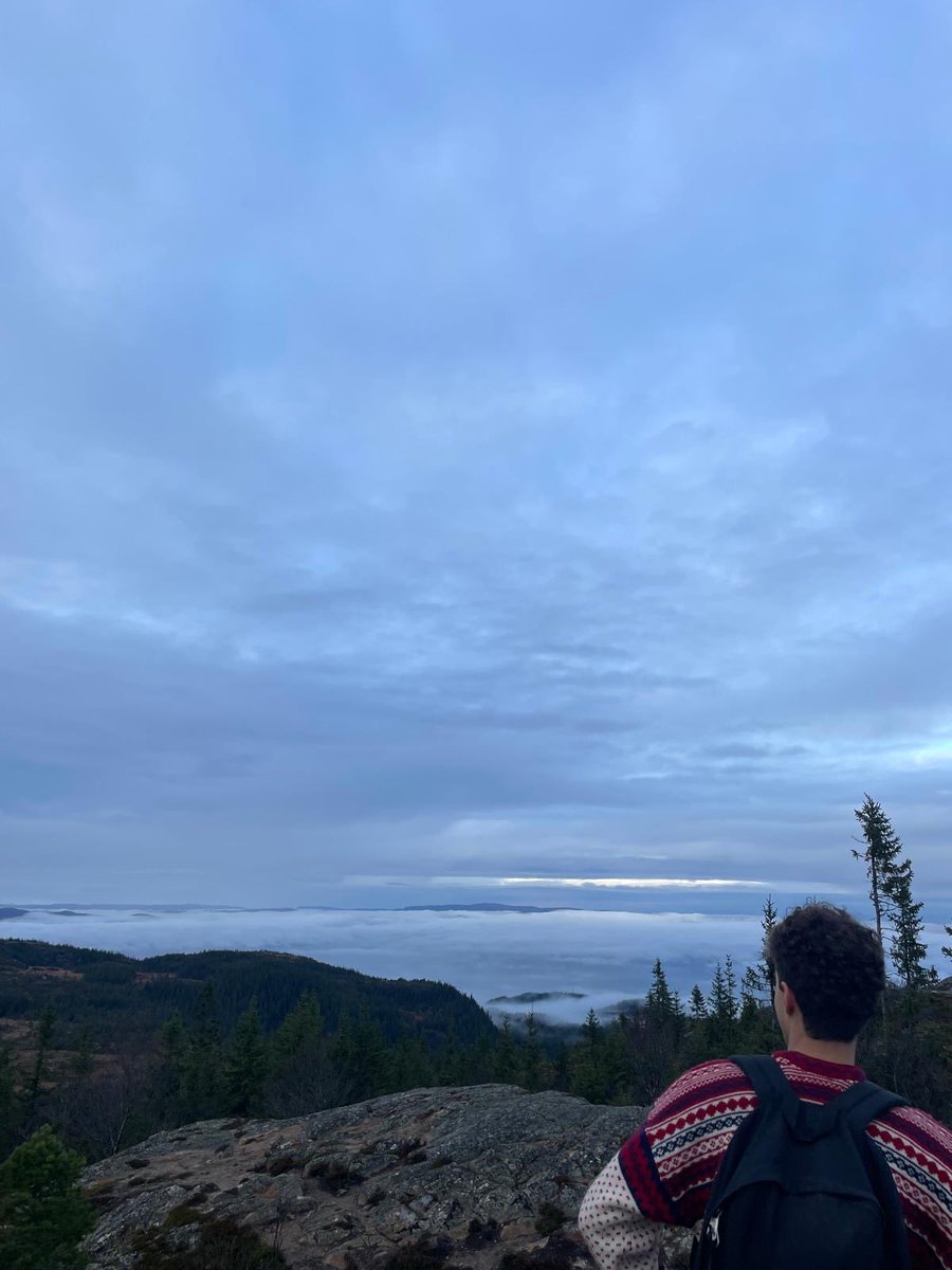 17 space tweet media