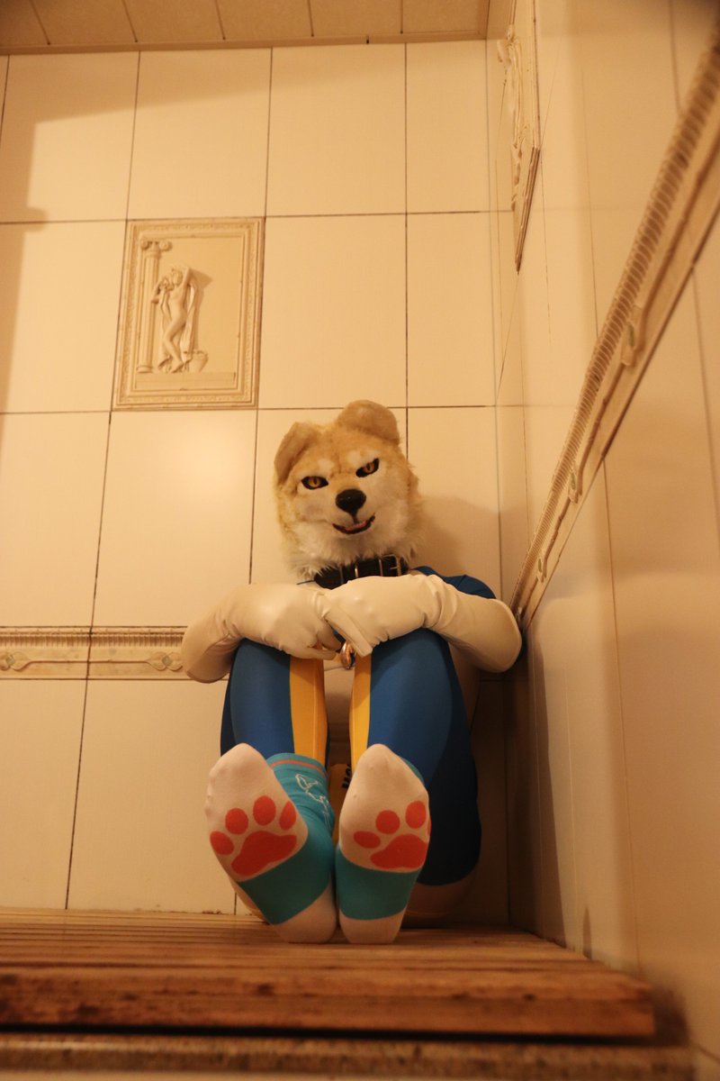 Wolfy さま わふ～ 📷 @asufia_coffeeさん