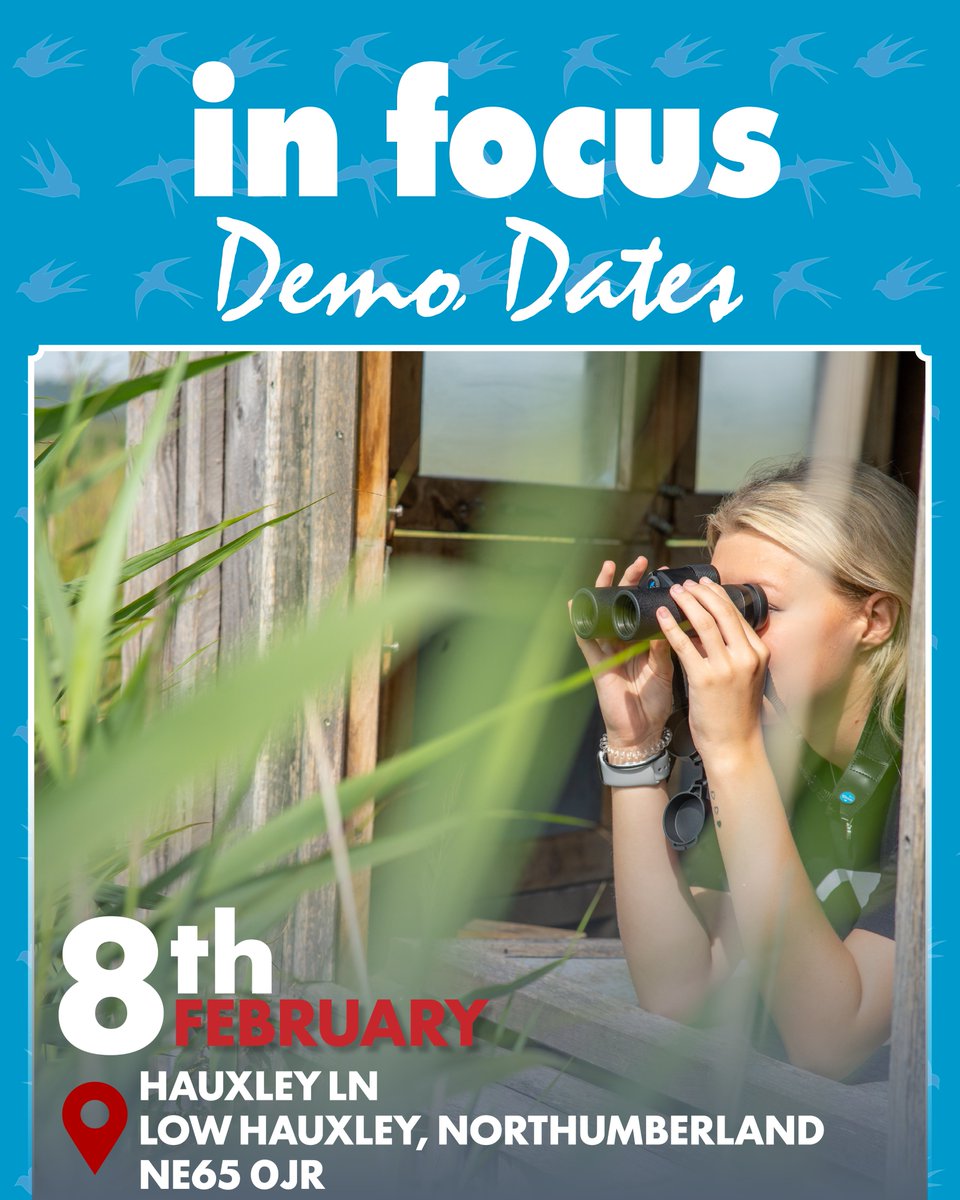 infocus_retailers tweet media