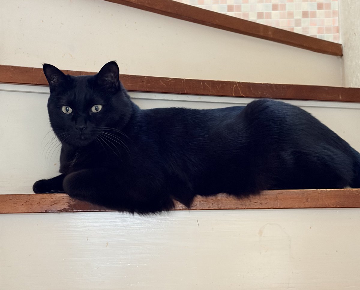 中井ペイント@静岡市浜松市 tweet media