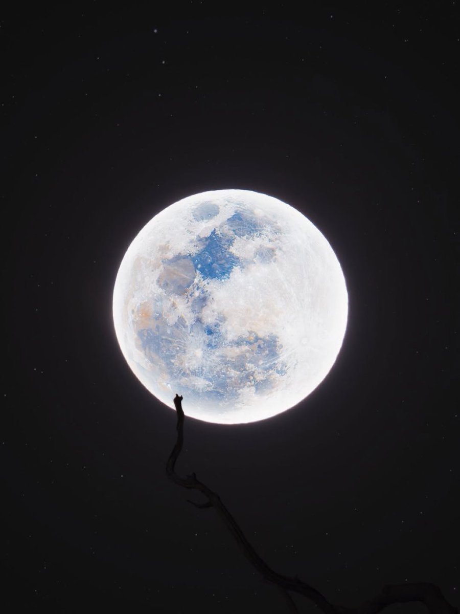 M1ONLOVER's tweet image. Full snow Moon