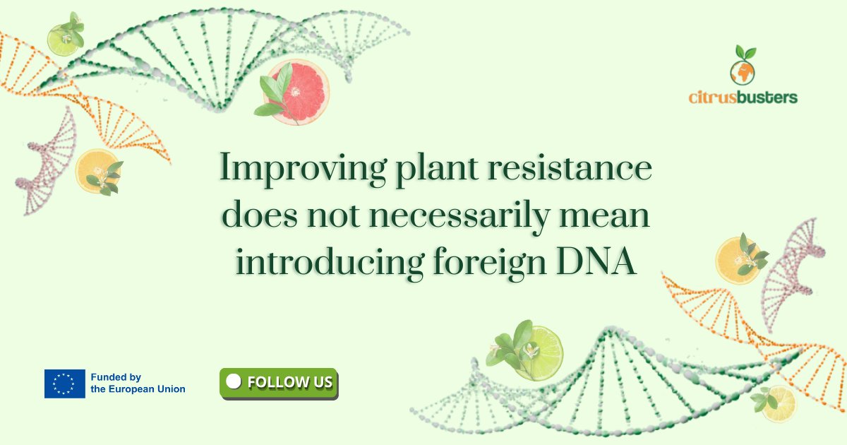 Citrusbusters tweet media