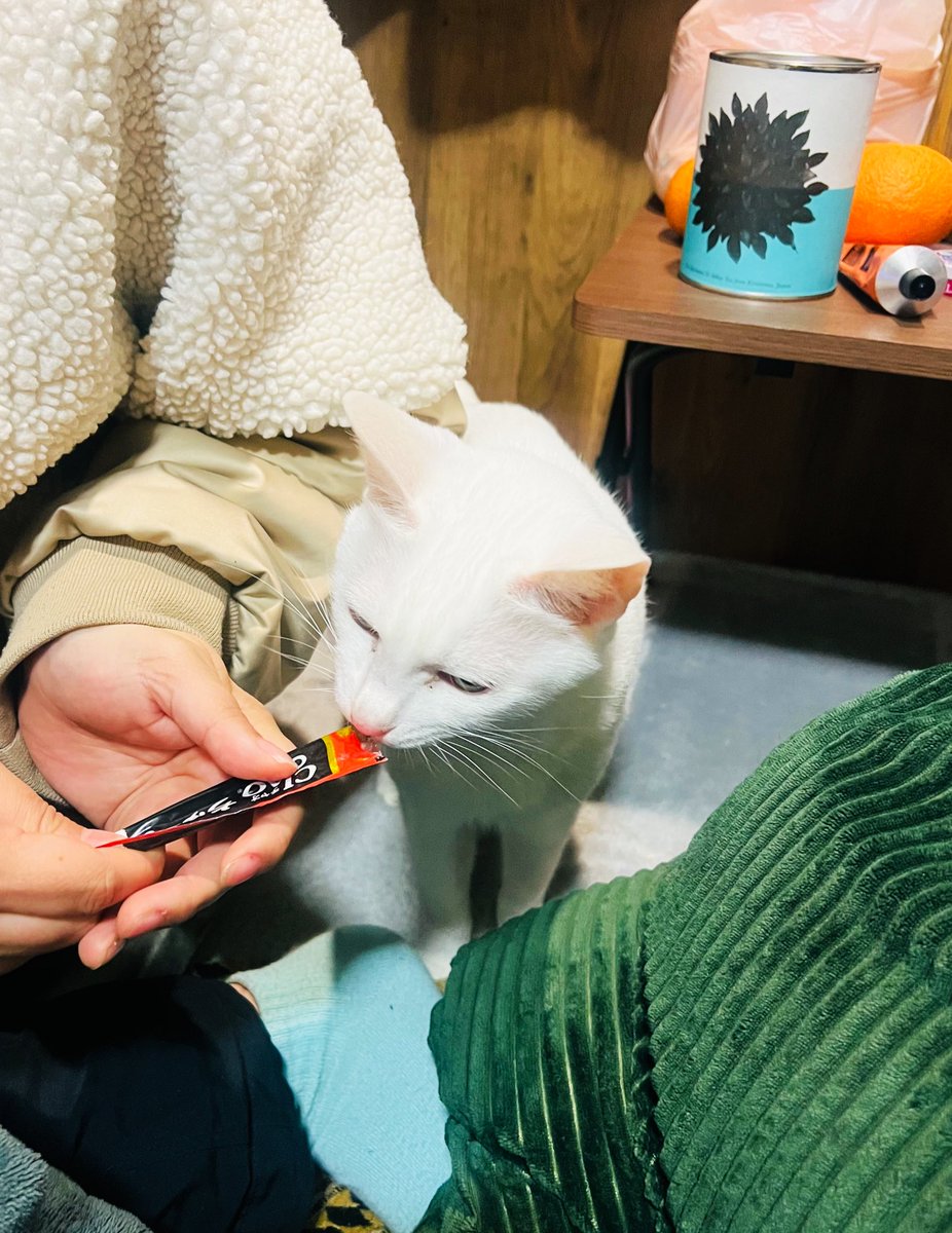 chun 西2チ28b (@chun38) / Posts / X