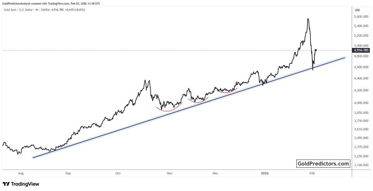 ✨ Gold Update (XAU/USD)   Rebounds above $4,800 as weaker USD &amp; Fed uncertainty lift demand. Govt shutdown clouds policy outlook.

#GOLD #Trump #XAUUSD