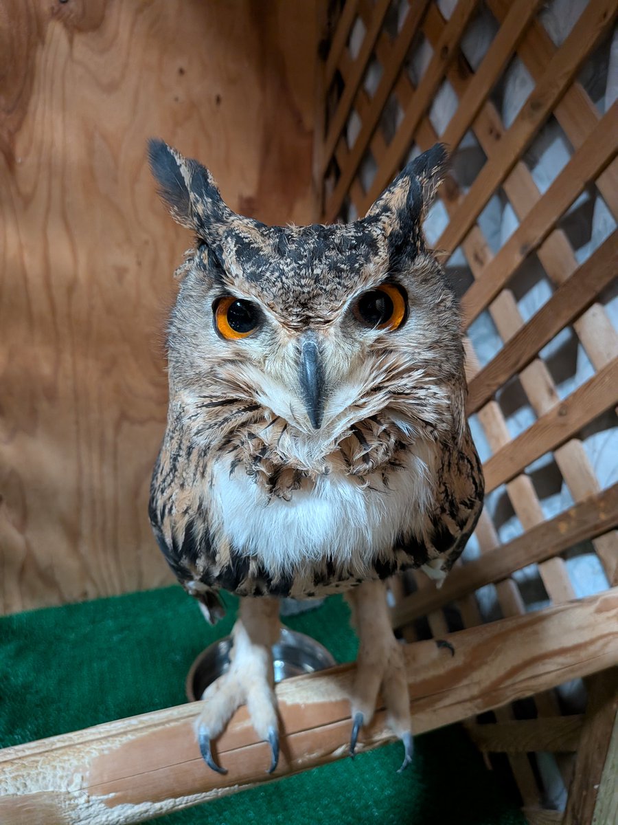 ただいま〜。ご飯持ってくるから、もう少し待っててね