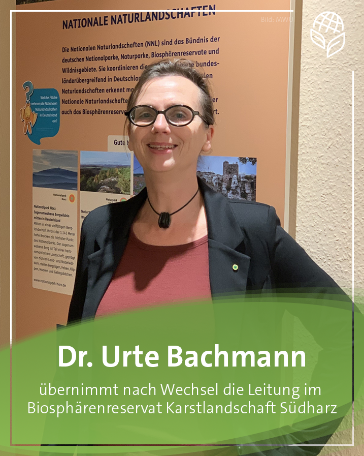 MWU Sachsen-Anhalt tweet media