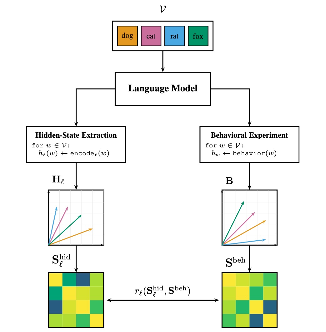 Louis Schiekiera tweet media