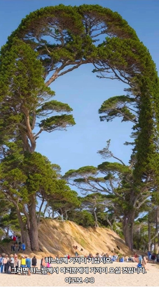 범사에 기한(期限)이 있고 천하만사가 다 때가 있나니, 인간의 모든 활동은 하나님의 절대적 주권 하에 전개된다. 모든 일을 자기 뜻대로 역사하시는 전능자의 때를 기다리며 기도하라. (출처 : 도둑맞은 .. | blog.naver.com/khuknow/224170… 블로그) naver.me/xHEWUBva