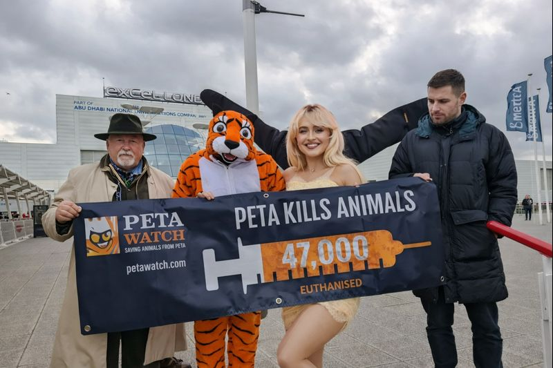 petawatch.com tweet media