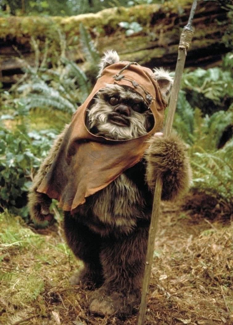 Hoy cumple 56 años el rey de la fantasía, el actor británico Warwick Davis.

¡Gracias por hacer tan mágica y escalofriante nuestra infancia! ✨