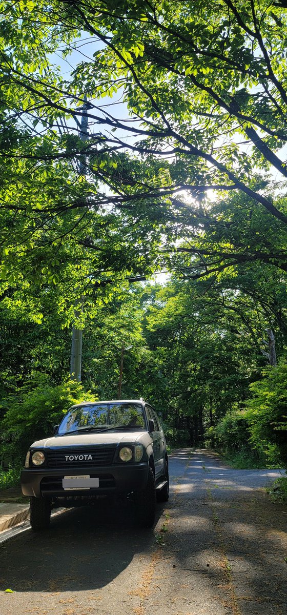 mushidame's tweet photo. プラド95　後期
の車中泊とか過ごせる用の改造などがほとんどWebで出てこないので自分でココに載せてゆく事にした

まずベッドキットは狭くて寝る意外
使いもんになりません

荷物積んで寝るだけならO.K.
寝たら中腰にもなれませんがね

ベッドキットはバラして
今日から改造始めます

#ランクル https://t.co/aosk92esWv