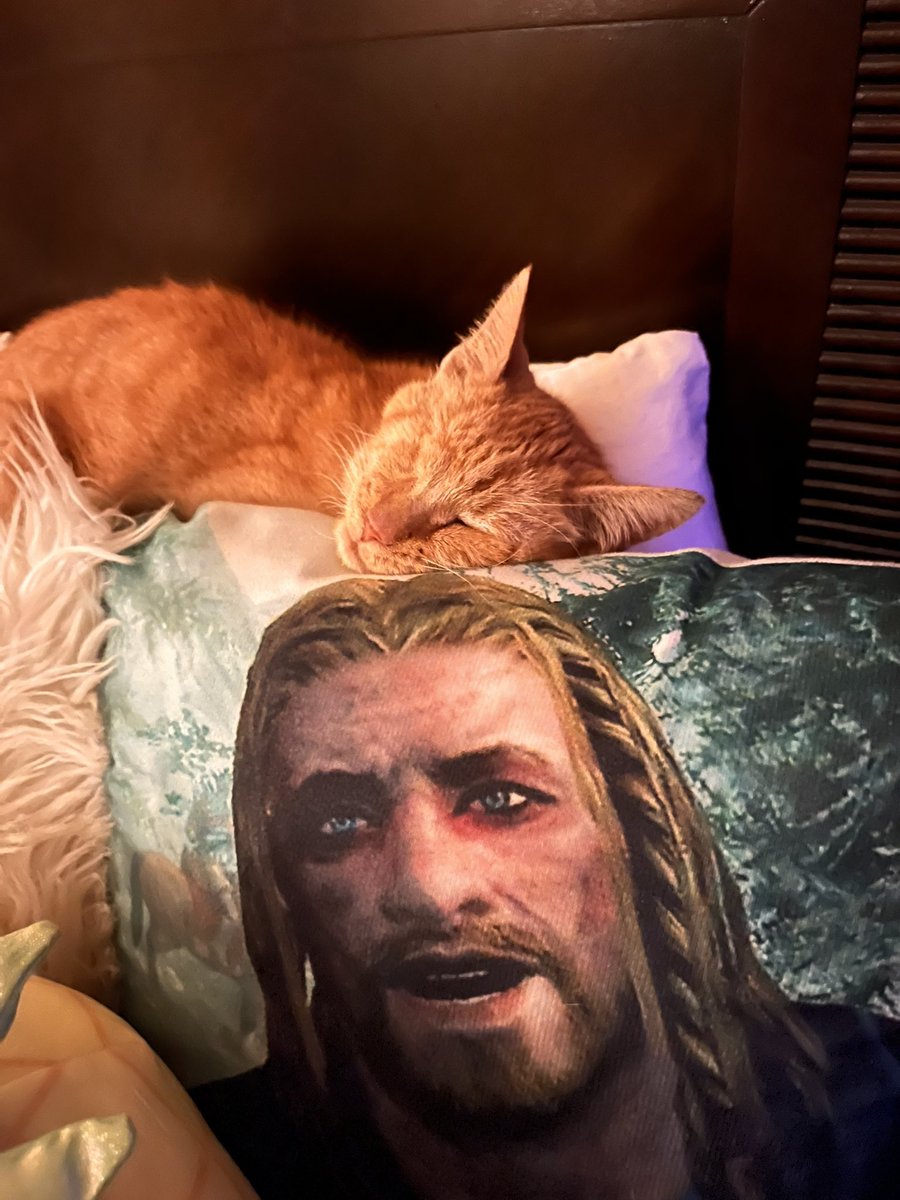 CarlaaCoffee's tweet photo. Yesterday I lost my best friend.I woke up like any normal day, doctor appointment set for Tuesday morning,and Monday morning found her sleeping peacefully. She was 15 years young so I knew it was time soon, but thought I had more time, I’m happy she went on her own in her sleep💕 https://t.co/RTdyWPXMoA