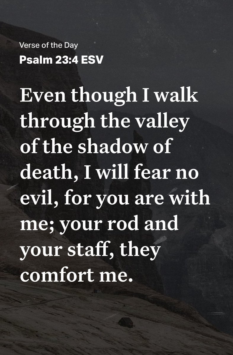 TweetMasterP tweet media