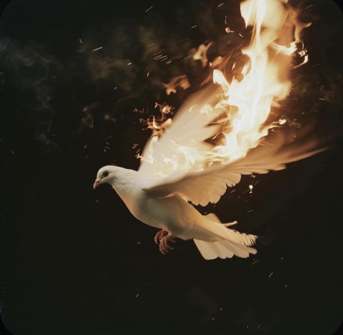 Come Holy Spirit, i need Thee 🕊️🔥