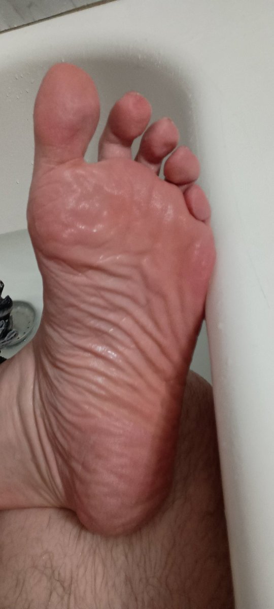 Bear For Paws *Consent is King, My Dudes* tweet media