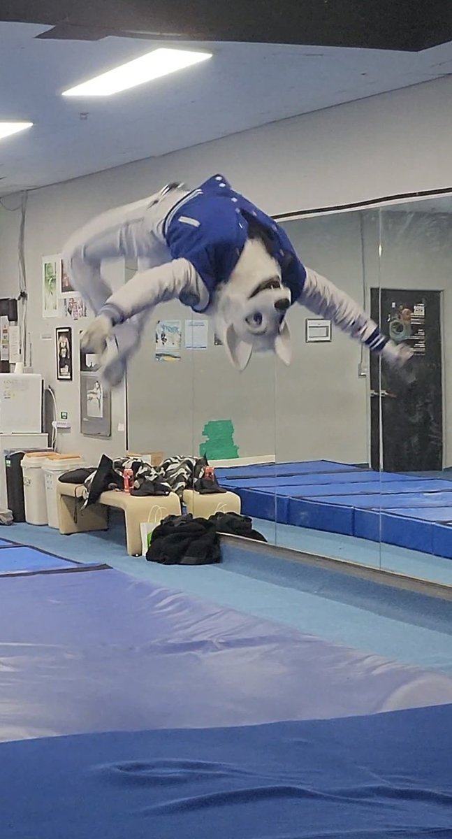 쉿 ☝️🐺✨️