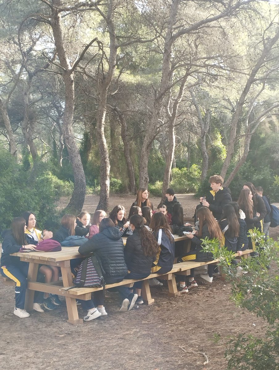 Colegio N S Socorro tweet media