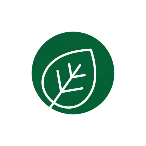 Eze_Wilberforce's tweet image. This is how far we’ve come. The future of digital publishing is here.

Our official name is Leaftin.

We’ve secured our domain Leaftin.com, completed CAC registration, and locked in other core essentials.

Click the domain and see the work already in progress.…