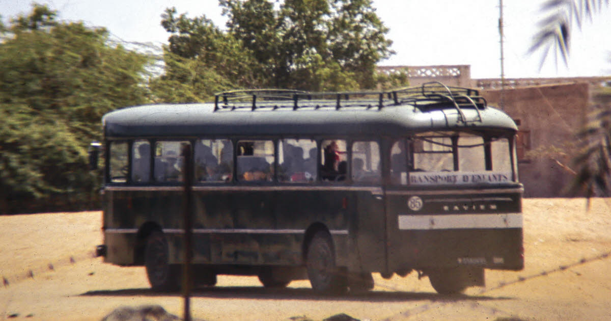 Vue sur Djibouti tweet media