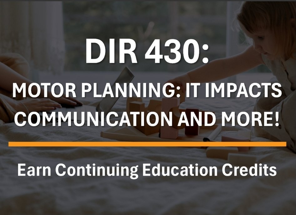 DIRFloortime tweet media