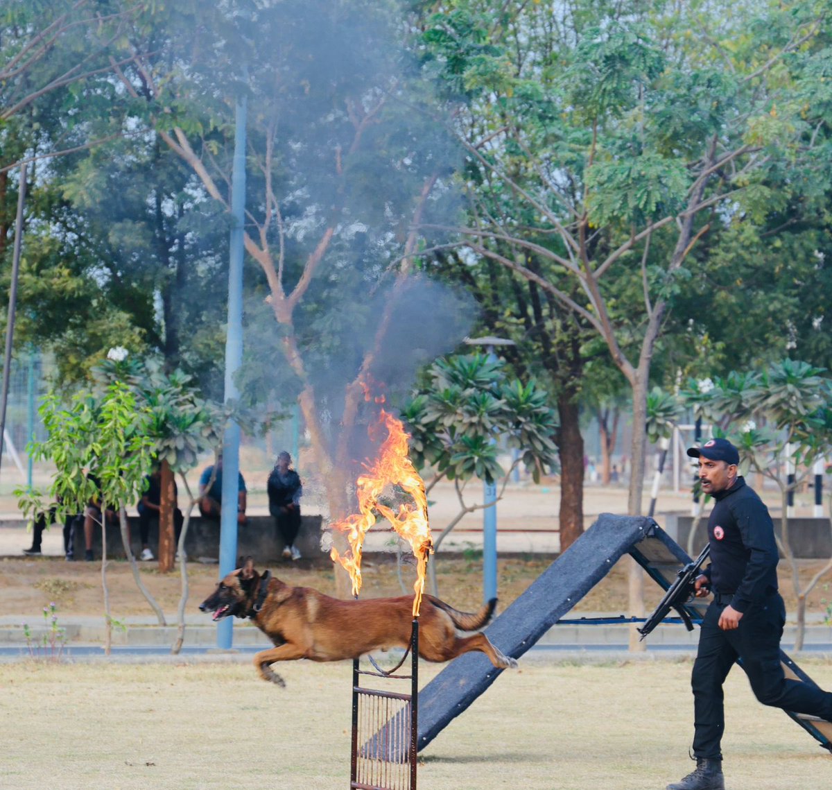 RakshaUni's tweet photo. RRU hosted the Bharat K9 Workshop, bringing together 35+ agencies and 75+ police & force personnel to strengthen K9 Squad research, capacity building & inter-force collaboration. 

Aligned with Hon’ble Union Home Minister’s vision of Zero Tolerance towards drugs. 🇮🇳🐕‍🦺 

@GujaratPolice @Bhupendrapbjp @police_Gnagar @dgpgujarat @DelhiPolice @Lakpolice @himachalpolice @Uppolice @odisha_police @tnpoliceoffl @ArunachalPolice @assampolice @DGP_Nagaland @TheKeralaPolice @JharkhandPolice @SikkimPolice @MeghalayaPolice @DGPMaharashtra @MPPoliceDeptt @PunjabPoliceInd @APPOLICE100 @TelanganaDGP @HMOIndia @AmitShah @PMOIndia @narendramodi @IndiaUNNewYork @indiannavy @adgpi @IAF_MCC @DGPAssamPolice @BSF_India @BSF_Gujarat @narcoticsbureau @ITBP_official @crpfindia @CISFHQrs @CBIHeadquarters @NIA_India  @DefenceMinIndia @rajnathsingh @PIBAhmedabad @PIBHomeAffairs @PIB_India @ANI                                                                                                                                                                       

#AntiDrugCampaign #BharatK9 #RRU #ZeroTolerance