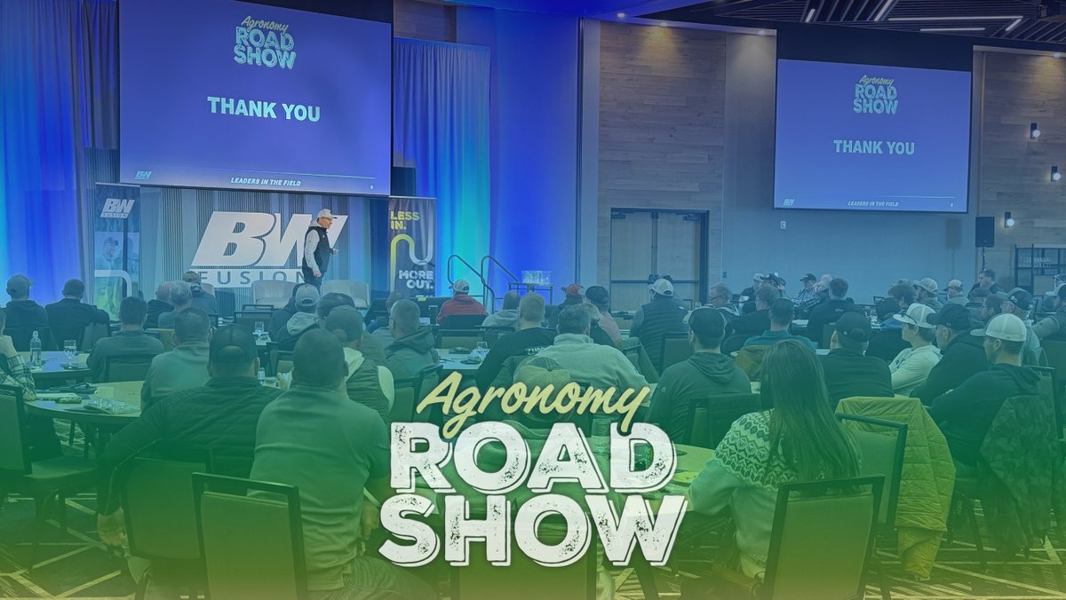 BW Fusion tweet media