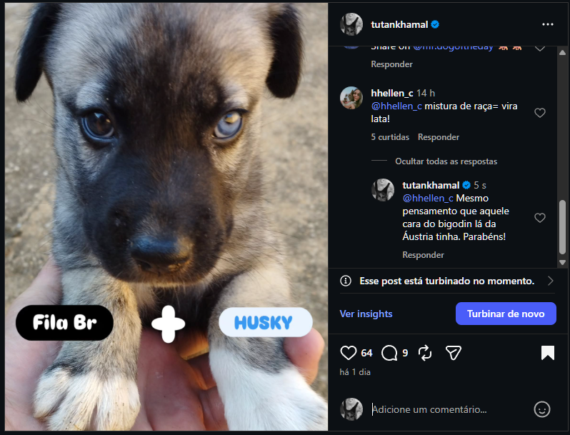 Tutankhamal's tweet photo. Enquanto isso no Metaverso... "Eu me adiverto muito"... como diria minha saudosa vózinha. 

#bigodin #ig #dog #pet https://t.co/S6s11CKyy2