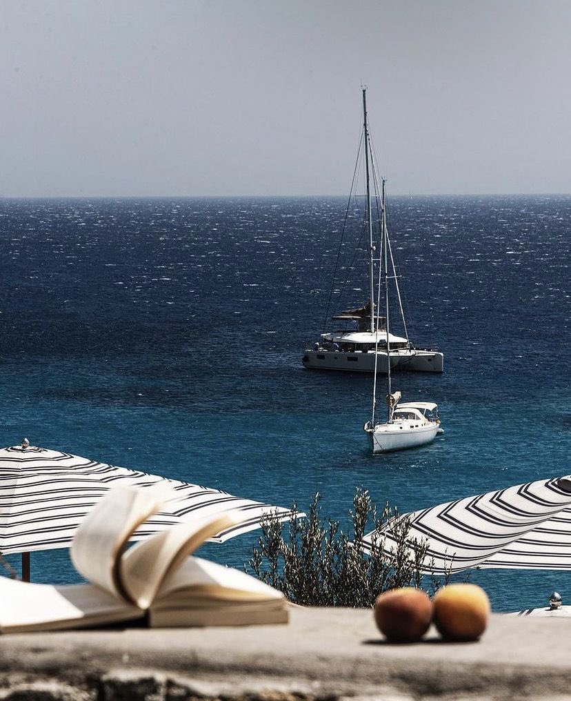 Alexander 𖤓 Nietzschean Vitalist tweet media