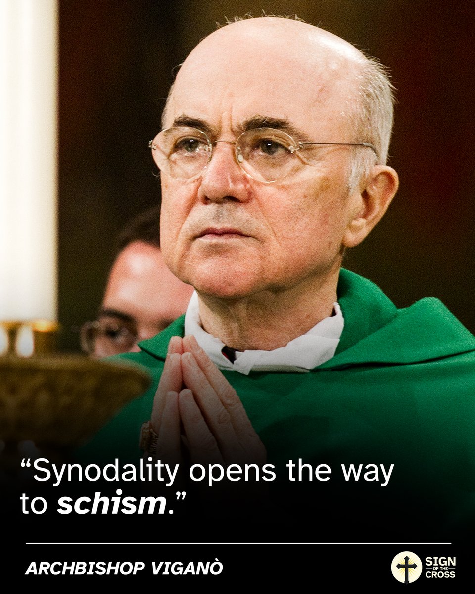 Archbishop Viganò: Synodality opens the way to schism.

lifesitenews.com/news/sspx-anno…