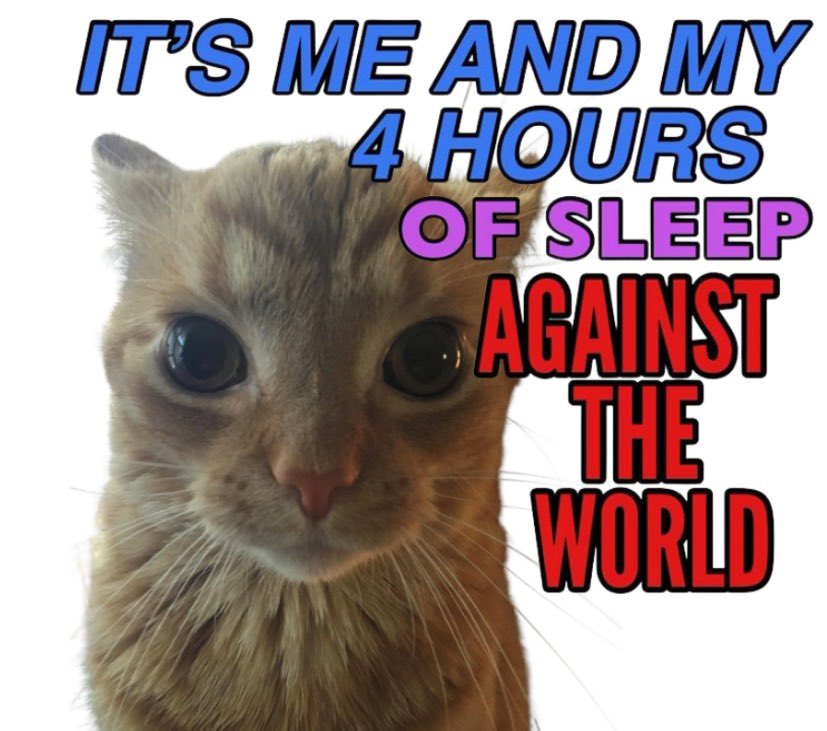 gakstercat's tweet image. 