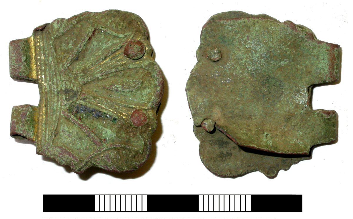 Rob Webley tweet media