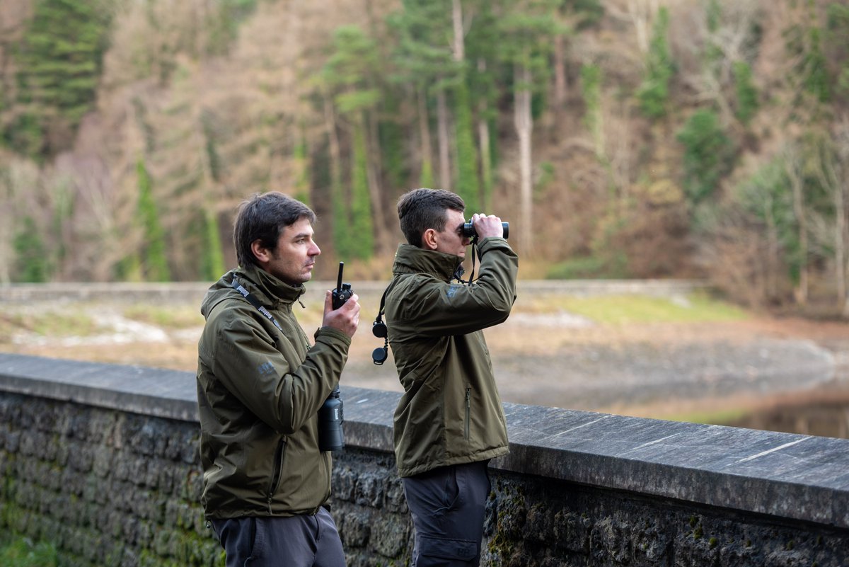 Inland Fisheries Ireland tweet media