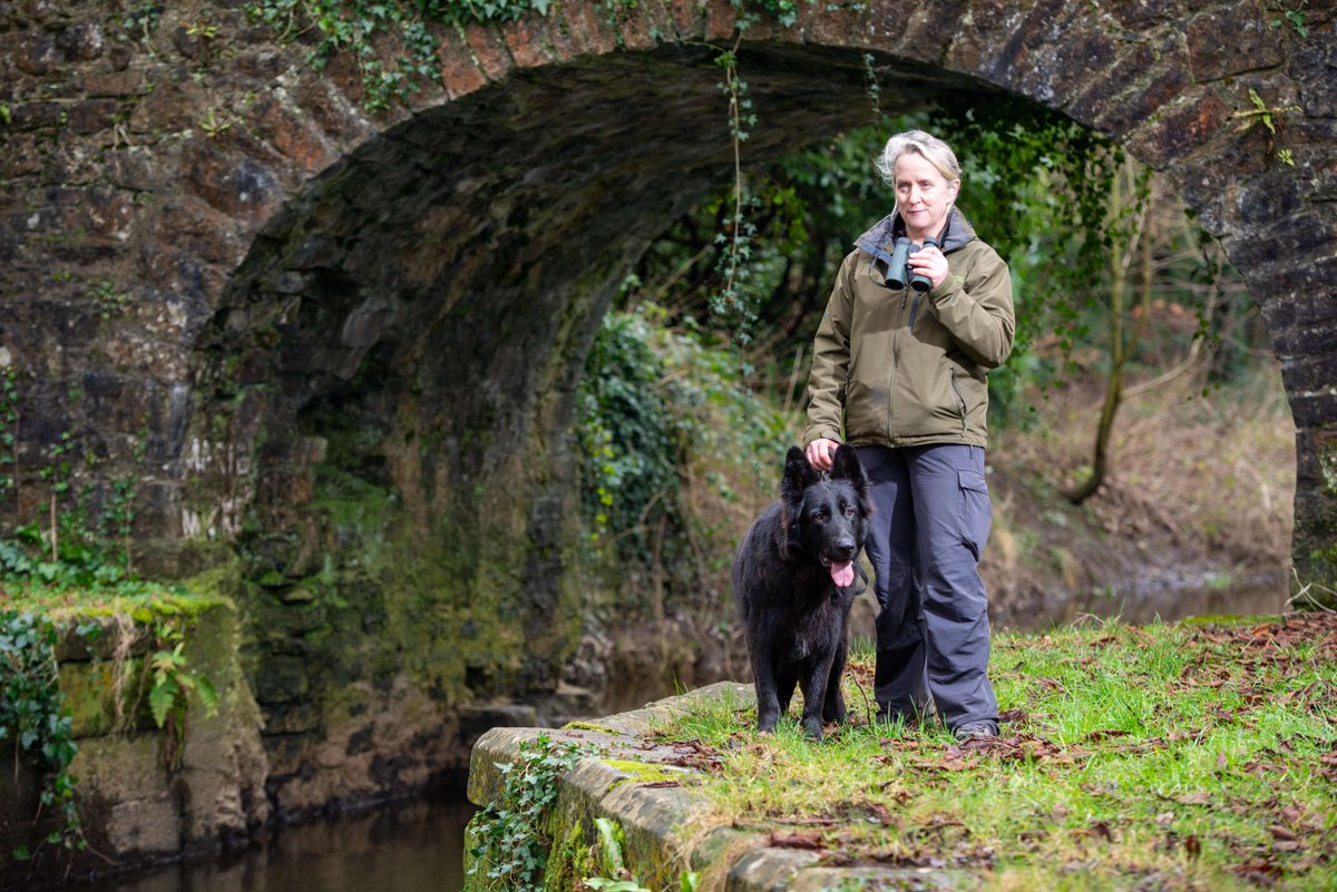 Inland Fisheries Ireland tweet media