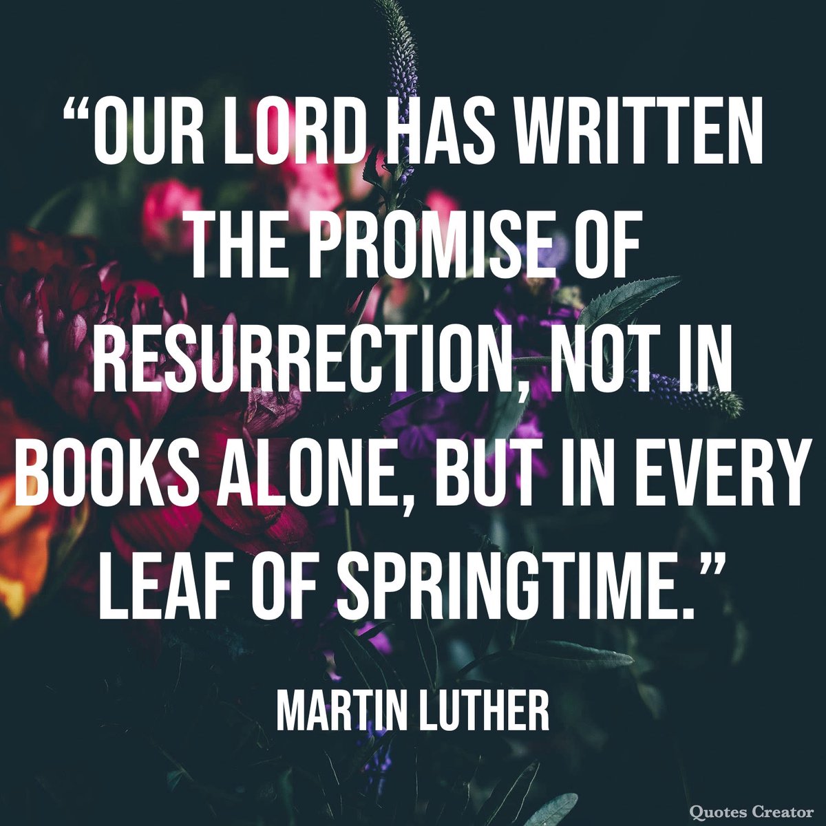 Shine the Light Ministries tweet media