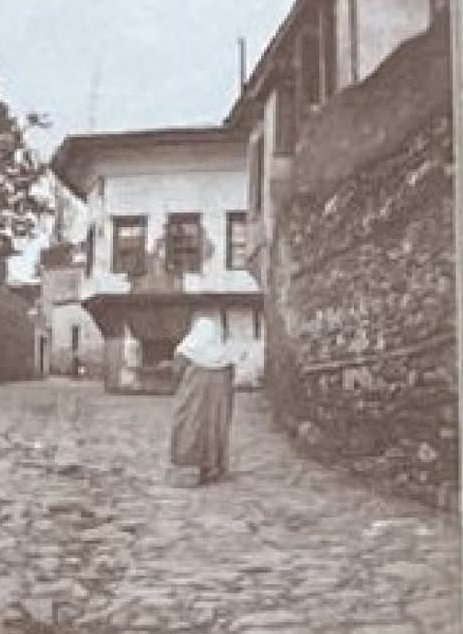 Selanikli© tweet media