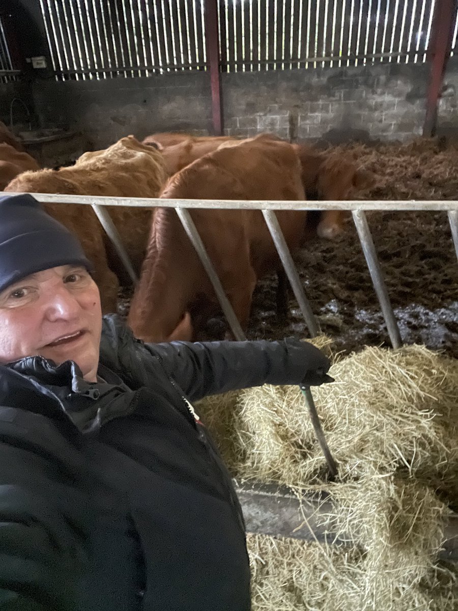powell588's tweet photo. @Nigelrefowens  nothing to this refereeing!😬🐂🏉 https://t.co/11dO59EEDL