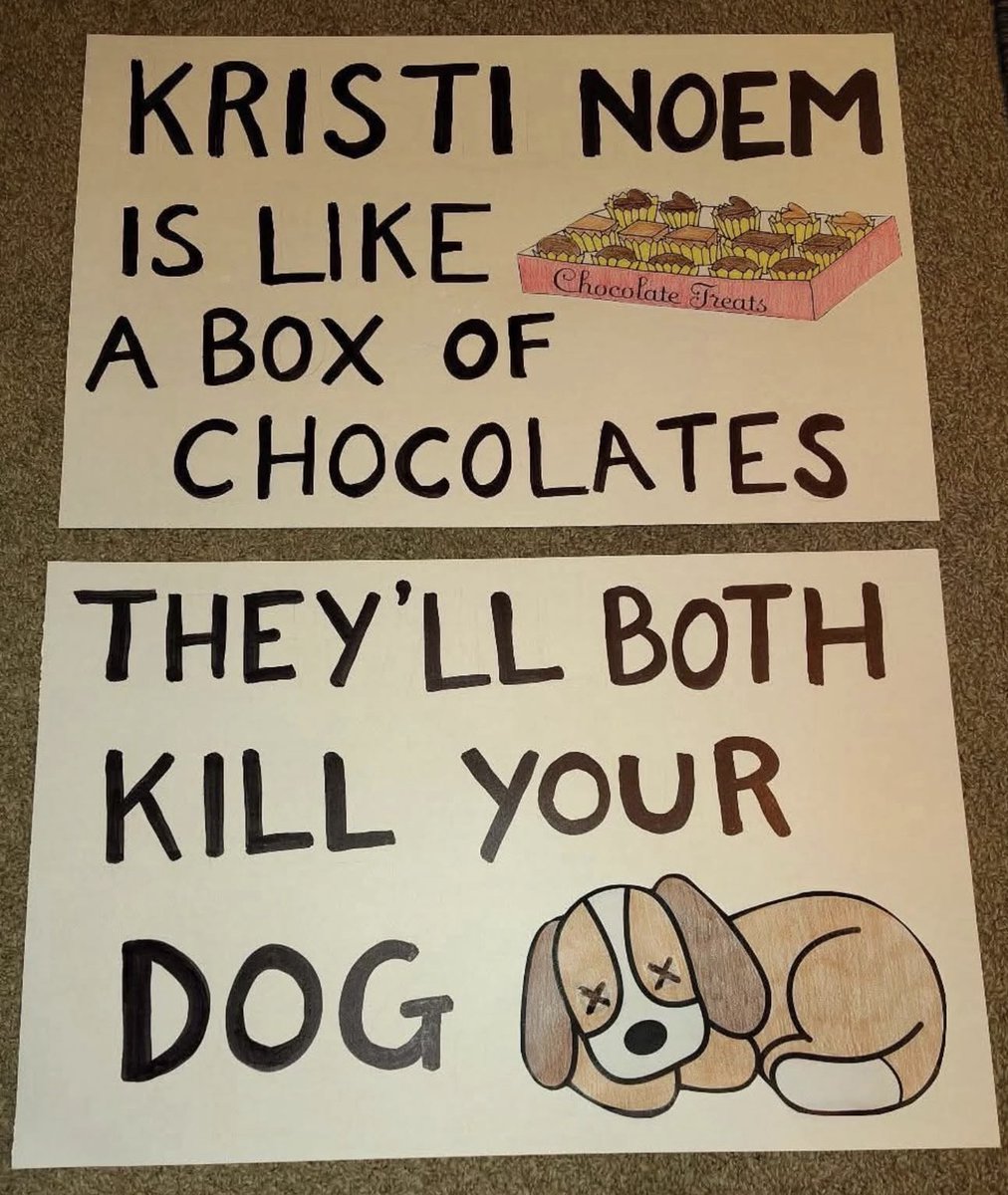 Boo The Serval tweet media