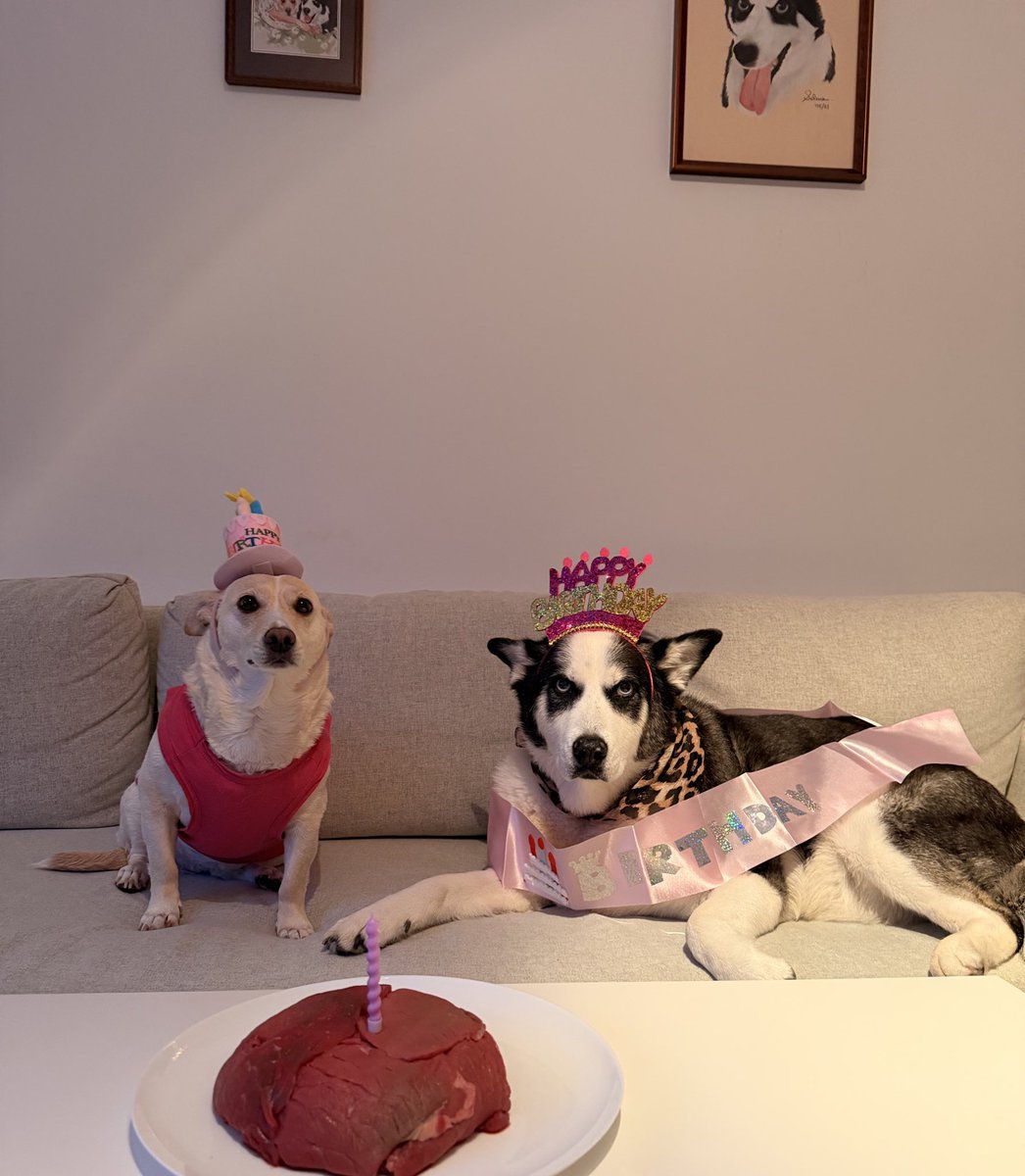 🪼Denizanası 🪼 tweet media