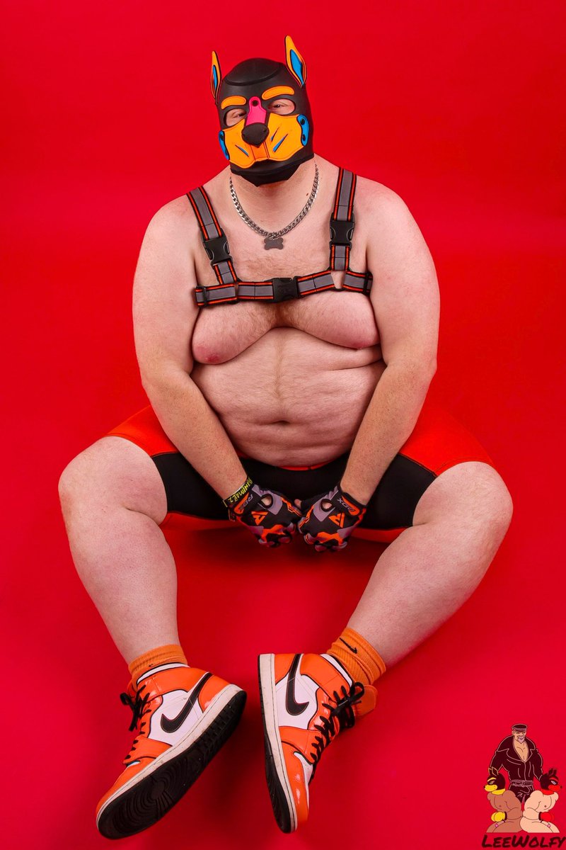 come pet pls 🧡