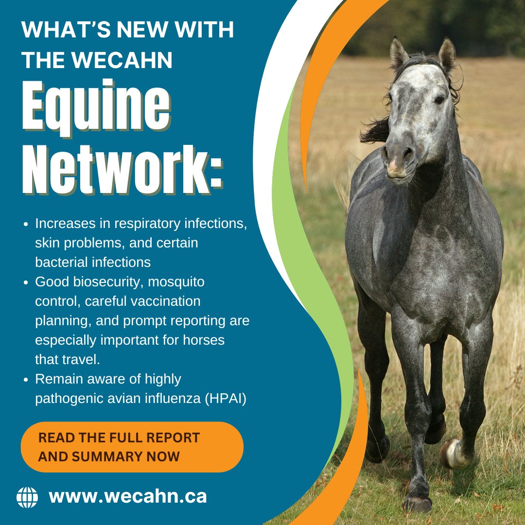 WesternCanadianAnimalHealthNetwork tweet media
