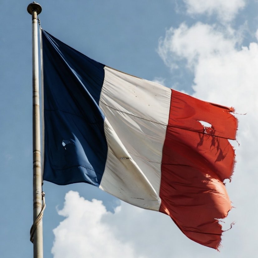 Drapeau                                    Drapeau 
des libertés                              de la censure